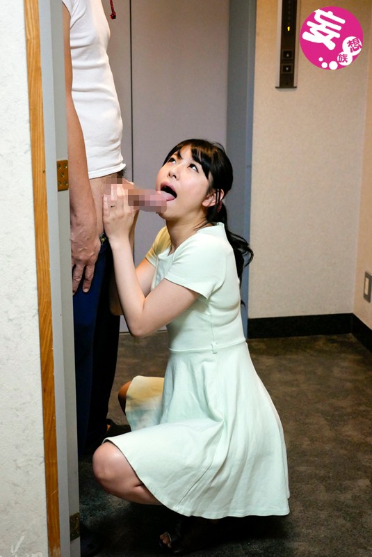 サンプル画像 9