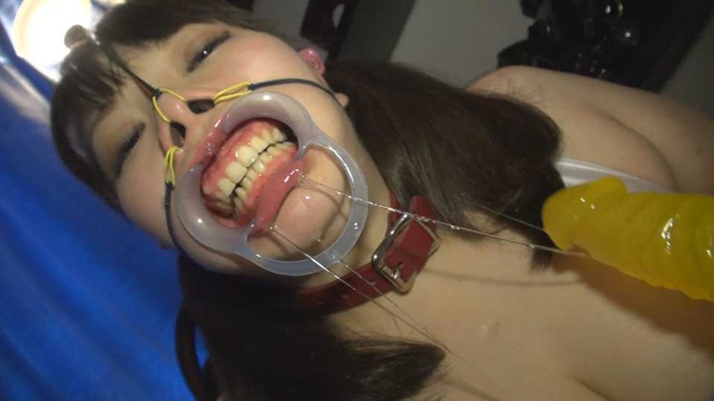 サンプル画像 15