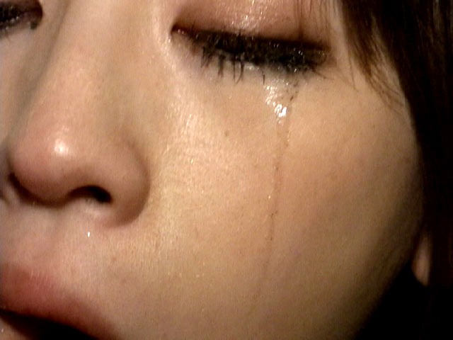 サンプル画像 7