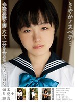パッケージ画像