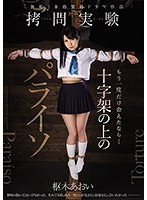 パッケージ画像