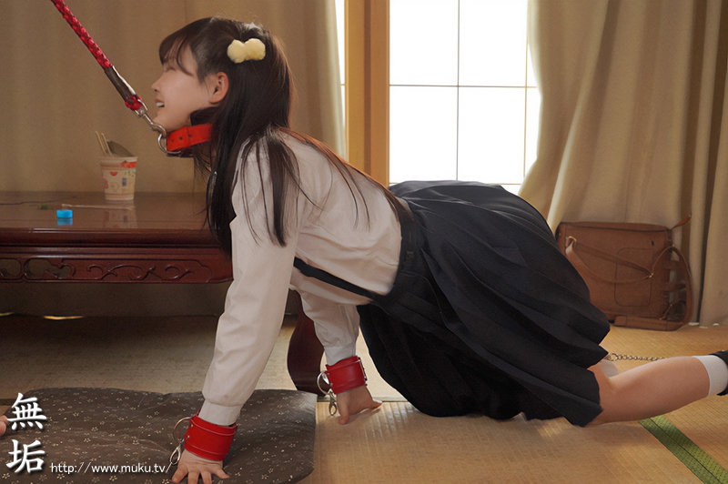 サンプル画像 3