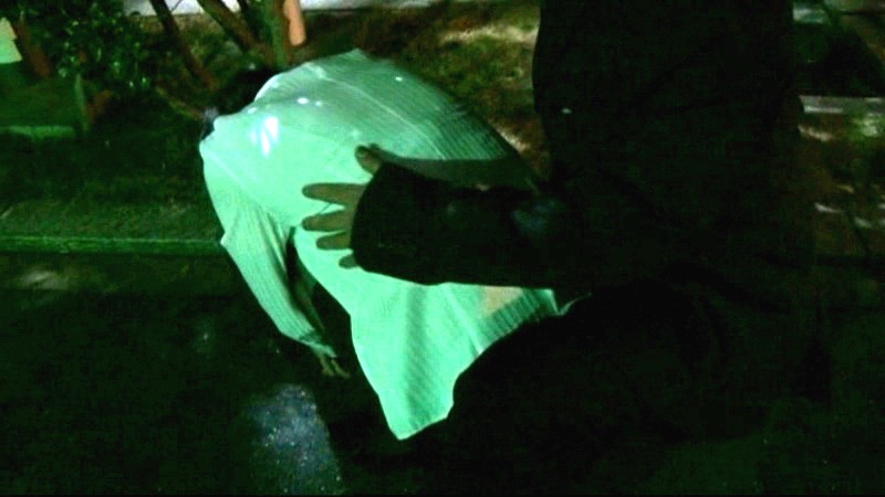 サンプル画像 12