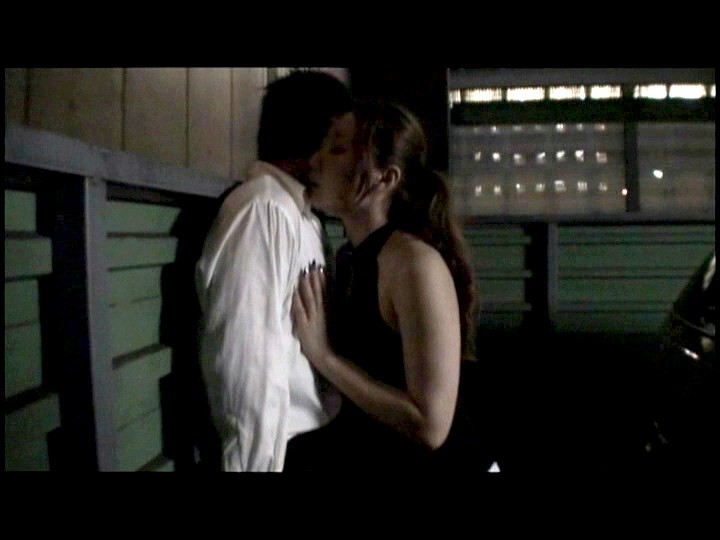 サンプル画像 14