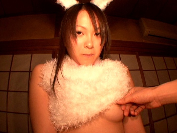 サンプル画像 15