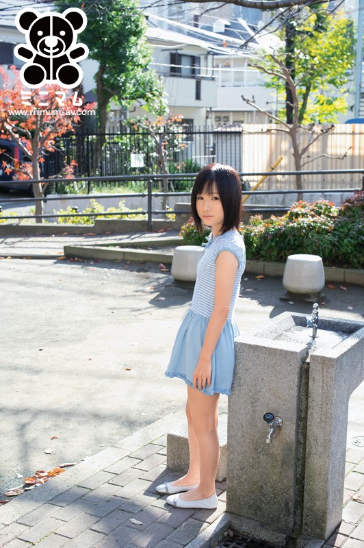 サンプル画像 11