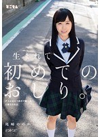パッケージ画像