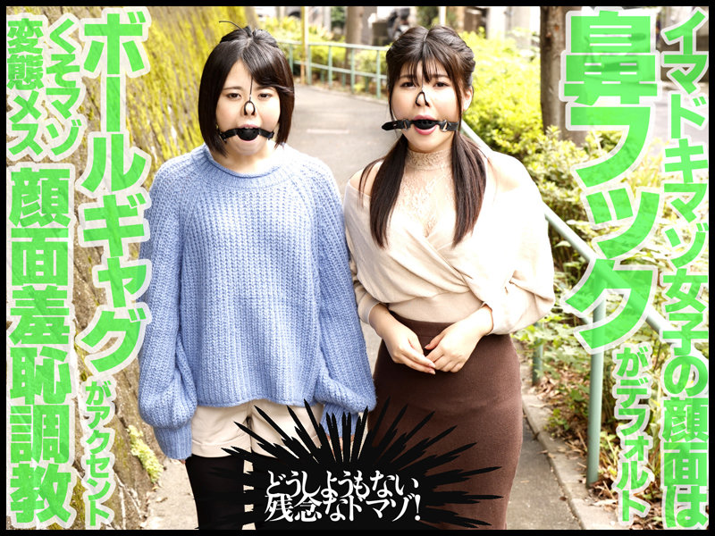 サンプル画像 2