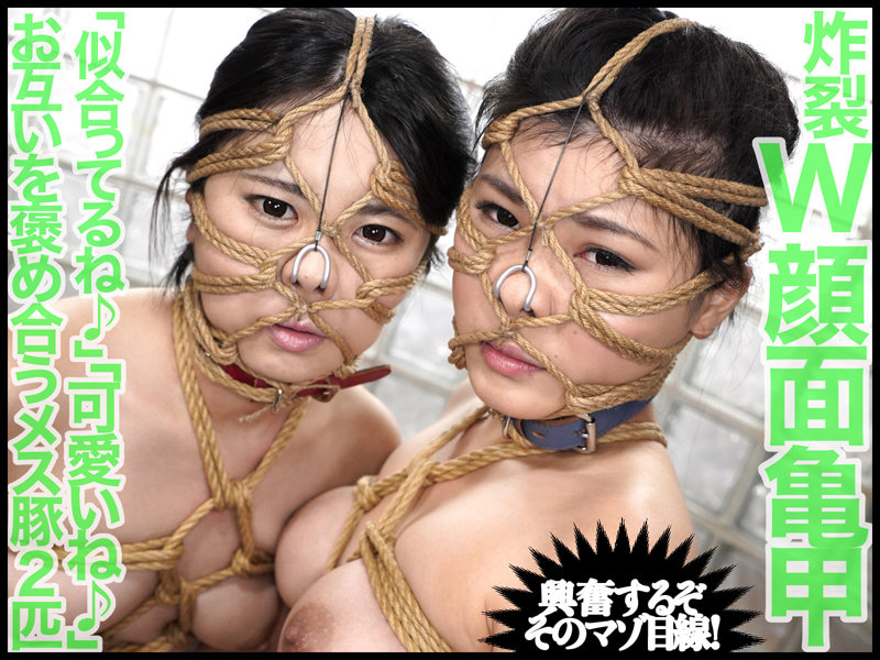 サンプル画像 11