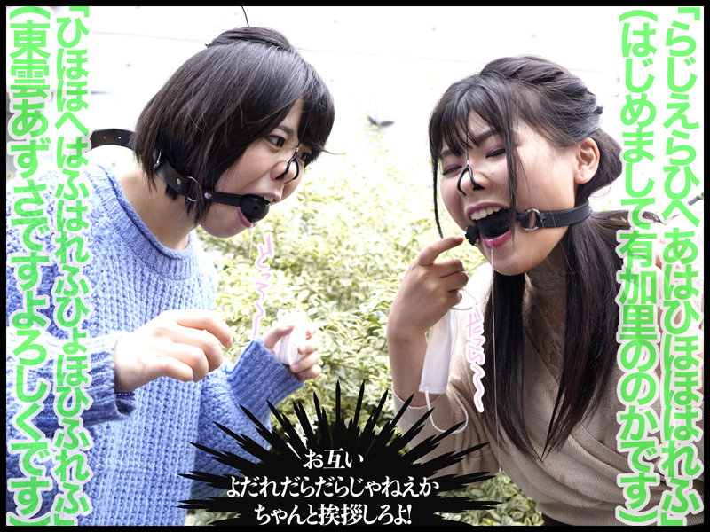 サンプル画像 3