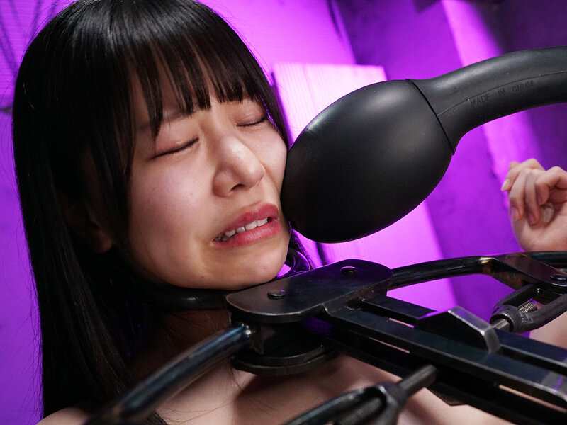 サンプル画像 8