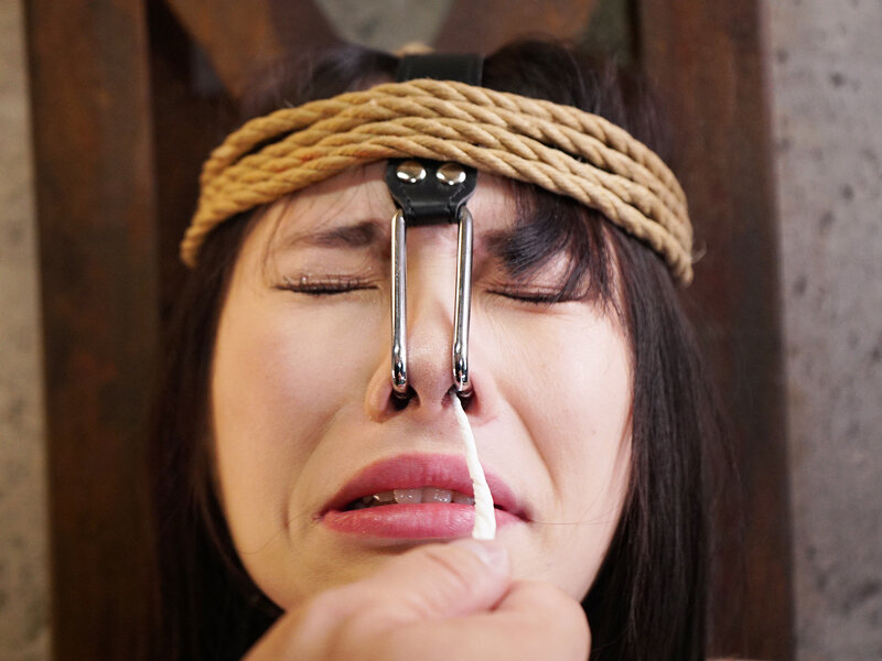 サンプル画像 12