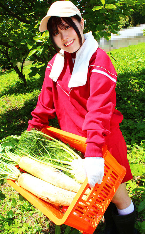 サンプル画像 2