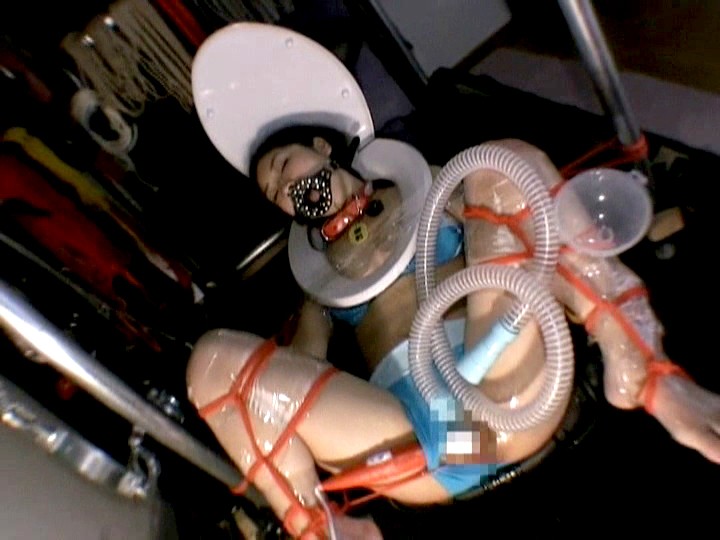 サンプル画像 12