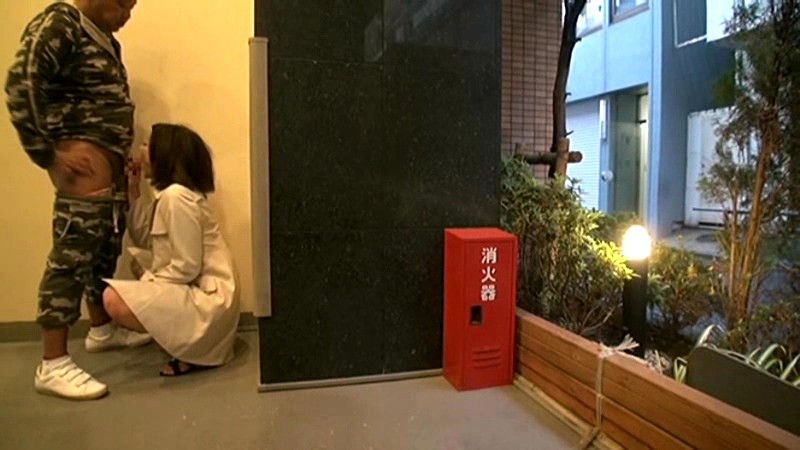 サンプル画像 15