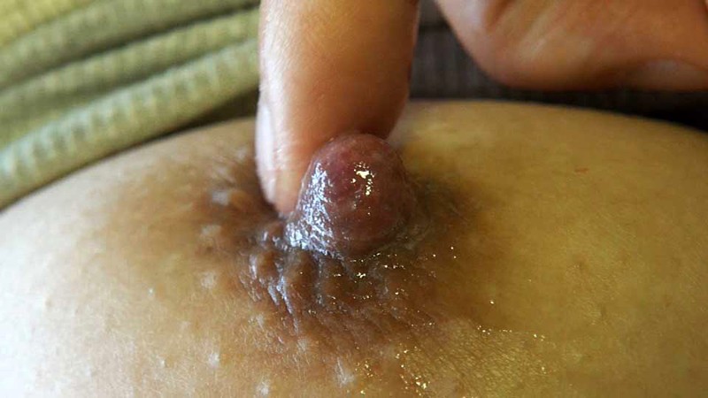 サンプル画像 5