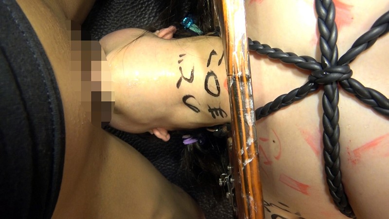 サンプル画像 13