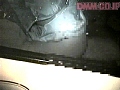サンプル画像 35