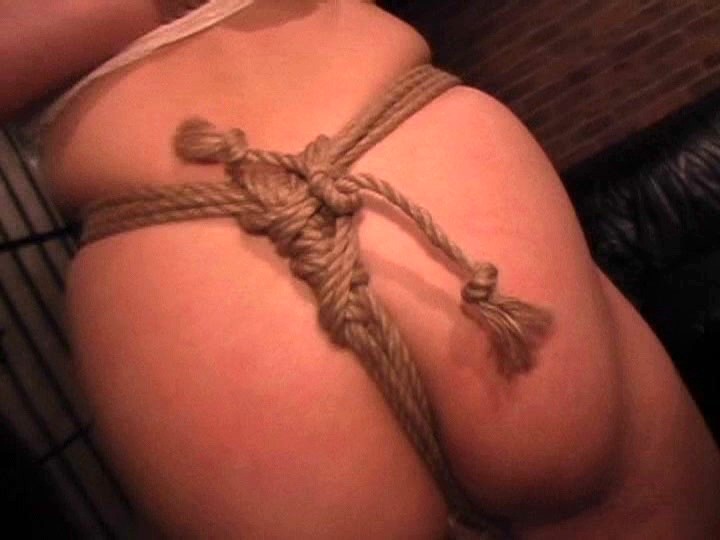 サンプル画像 11