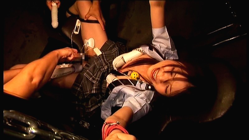 サンプル画像 12