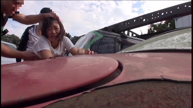 サンプル画像 8