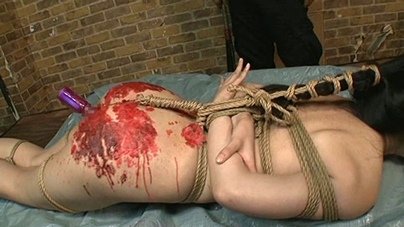 サンプル画像 14