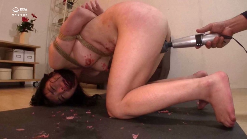 サンプル画像 14