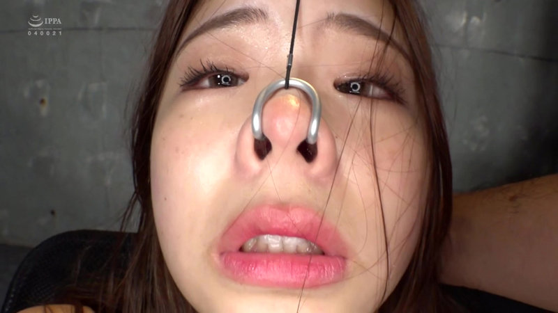 サンプル画像 13