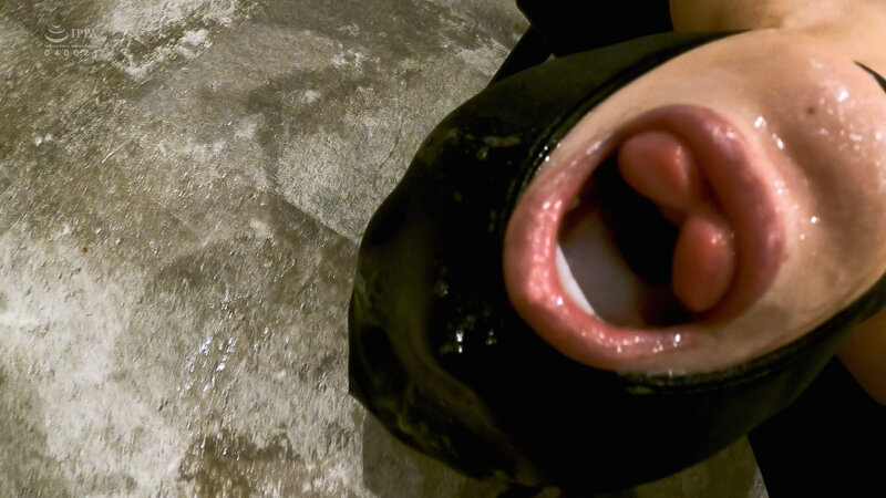 サンプル画像 12