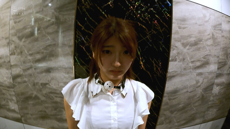 サンプル画像 5