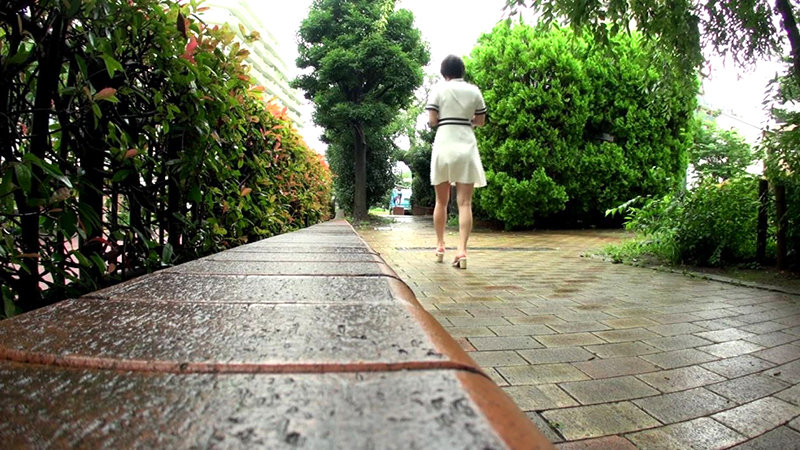 サンプル画像 3