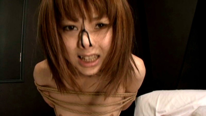 サンプル画像 5