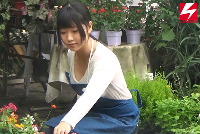 サンプル画像 5