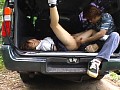 サンプル画像 24