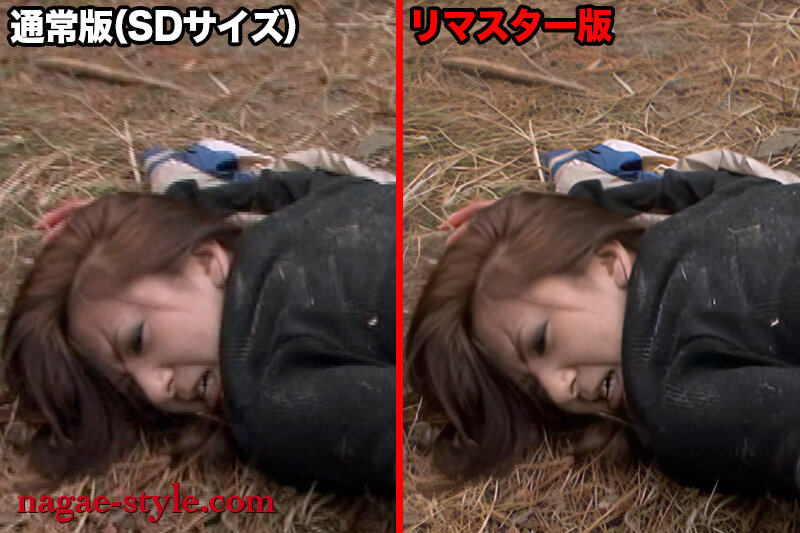 サンプル画像 12