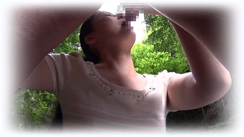 サンプル画像 13