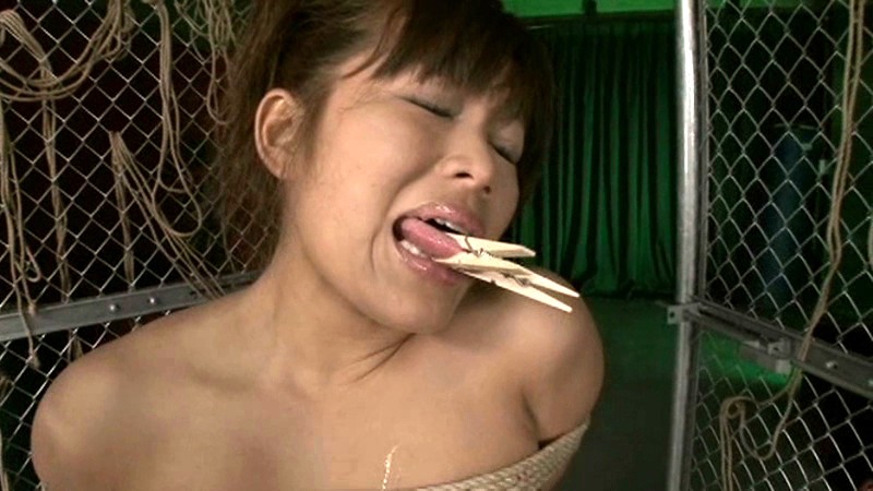 サンプル画像 15