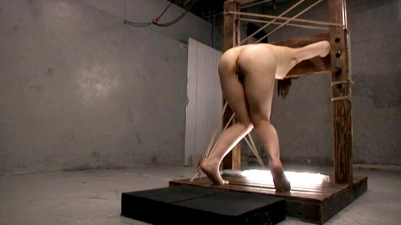 サンプル画像 16