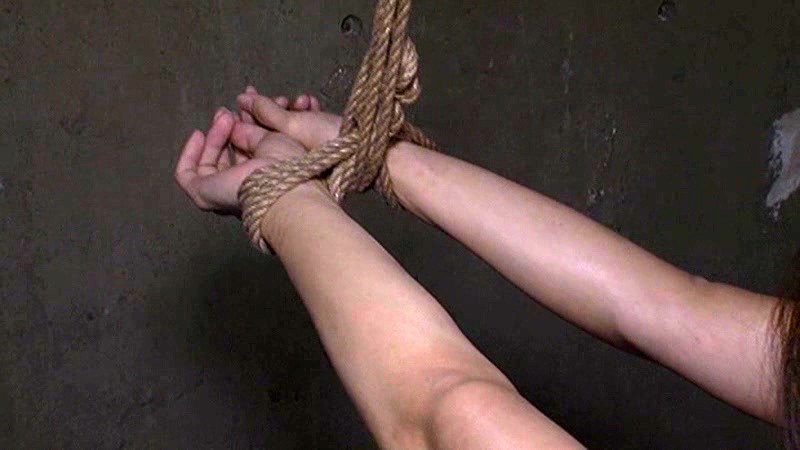 サンプル画像 8