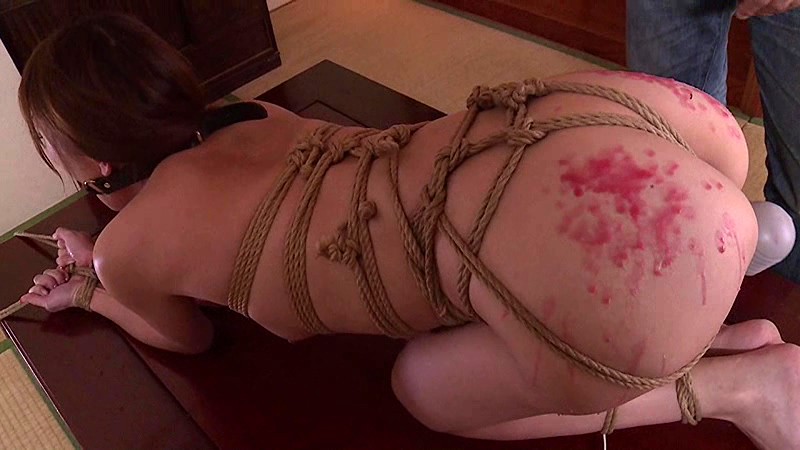 サンプル画像 9