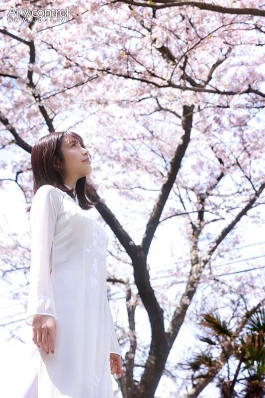 サンプル画像 6