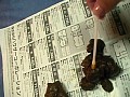 サンプル画像 16