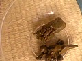 サンプル画像 22