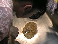 サンプル画像 6
