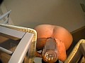サンプル画像 40