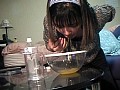 サンプル画像 36
