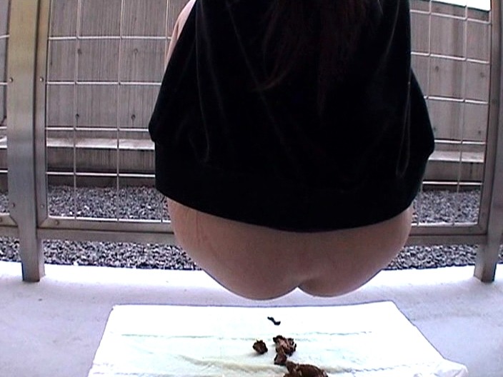 サンプル画像 14