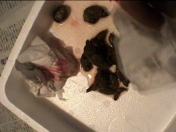 サンプル画像 8