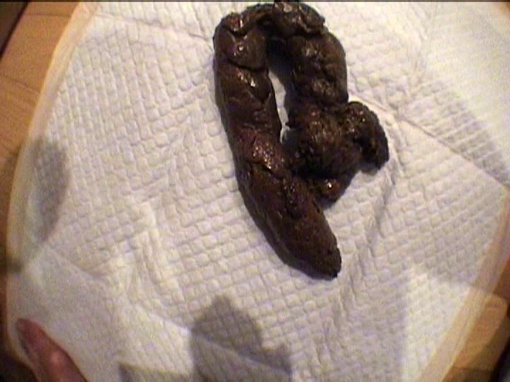 サンプル画像 7