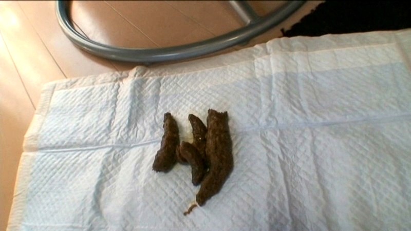 サンプル画像 11